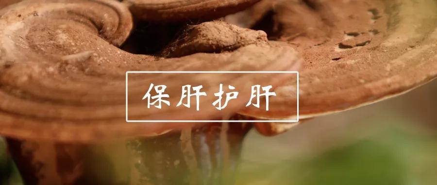 微信图片_20200806134021